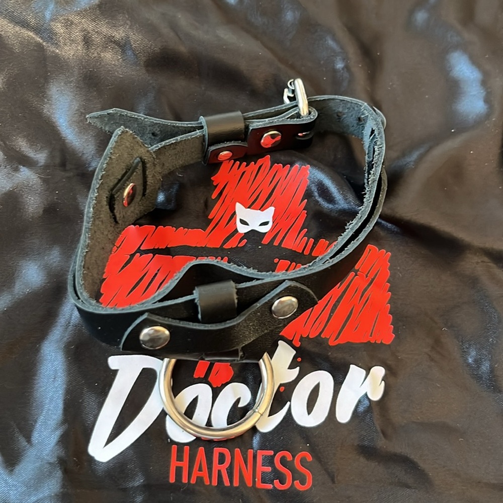 Genuine Leather Collar with Ring - Picture 3 of 4